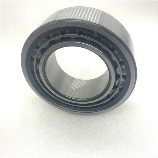 C3 C4 Clearance High Temperature Resistant Cylindrical Roller Bearing