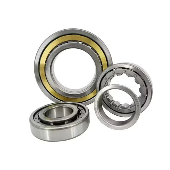 Cylindrical Roller Bearing for Continuous Working with Enhanced Lubrication