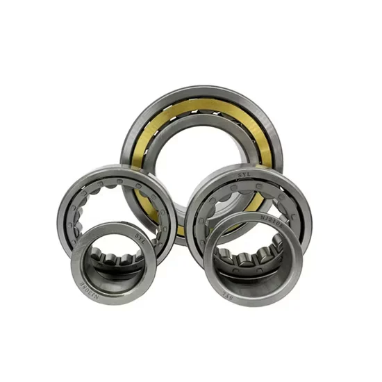 Cylindrical Roller Bearing for Continuous Working with Enhanced Lubrication