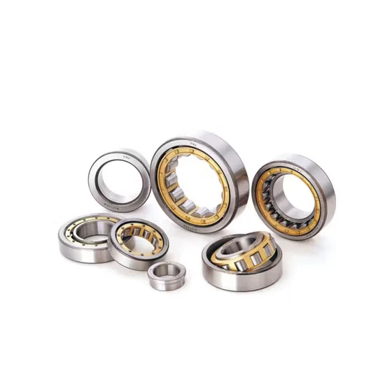 Genuine Nj 205 Cylindrical Roller Bearing for Farm Machinery [WARN] draft identifier mismatch
