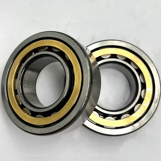 Nj1016e. M1 Nu1016e. M1 Single Row Cylindrical Roller Bearing 80x125mm P2-P6
