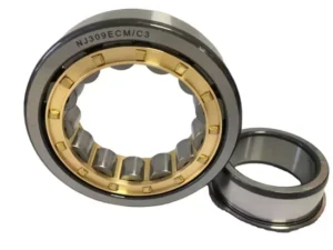 S-Kf Nn 3022 Tn3/Sp Double Row Cylindrical Roller Bearing
