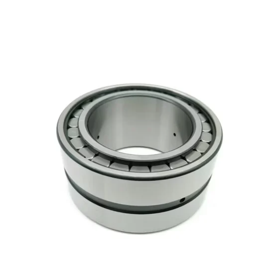 SL19 2320 Full Cylindrical Roller Bearing Without Retainer SL Series