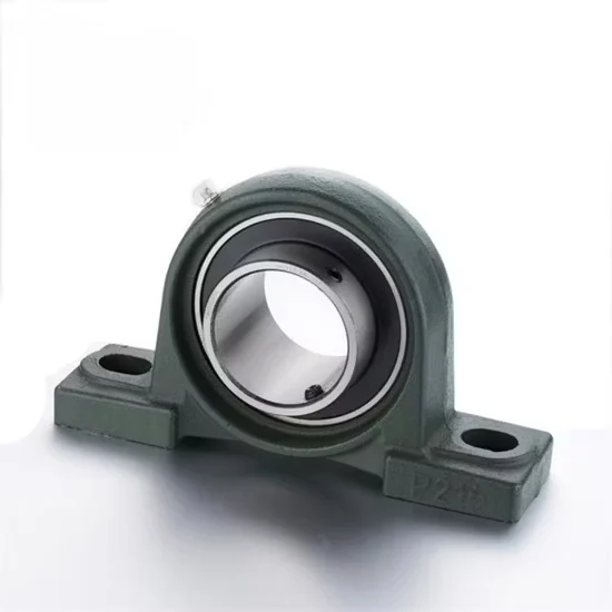UCP206 Pillow Block Bearing | Genuine Cast Iron Housing Supplier