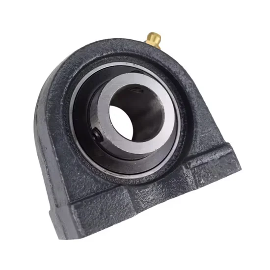 UCP206 Pillow Block Bearing | Genuine Cast Iron Housing Supplier