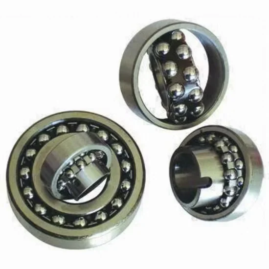 2300 Series Self-Aligning Ball Bearing Customizable Sizes