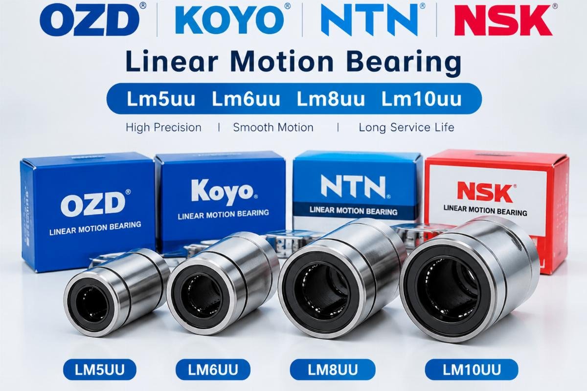 OZD KOYO NTN NSK Lm5uu Lm6uu Lm8uu Lm10uu linear motion bearing